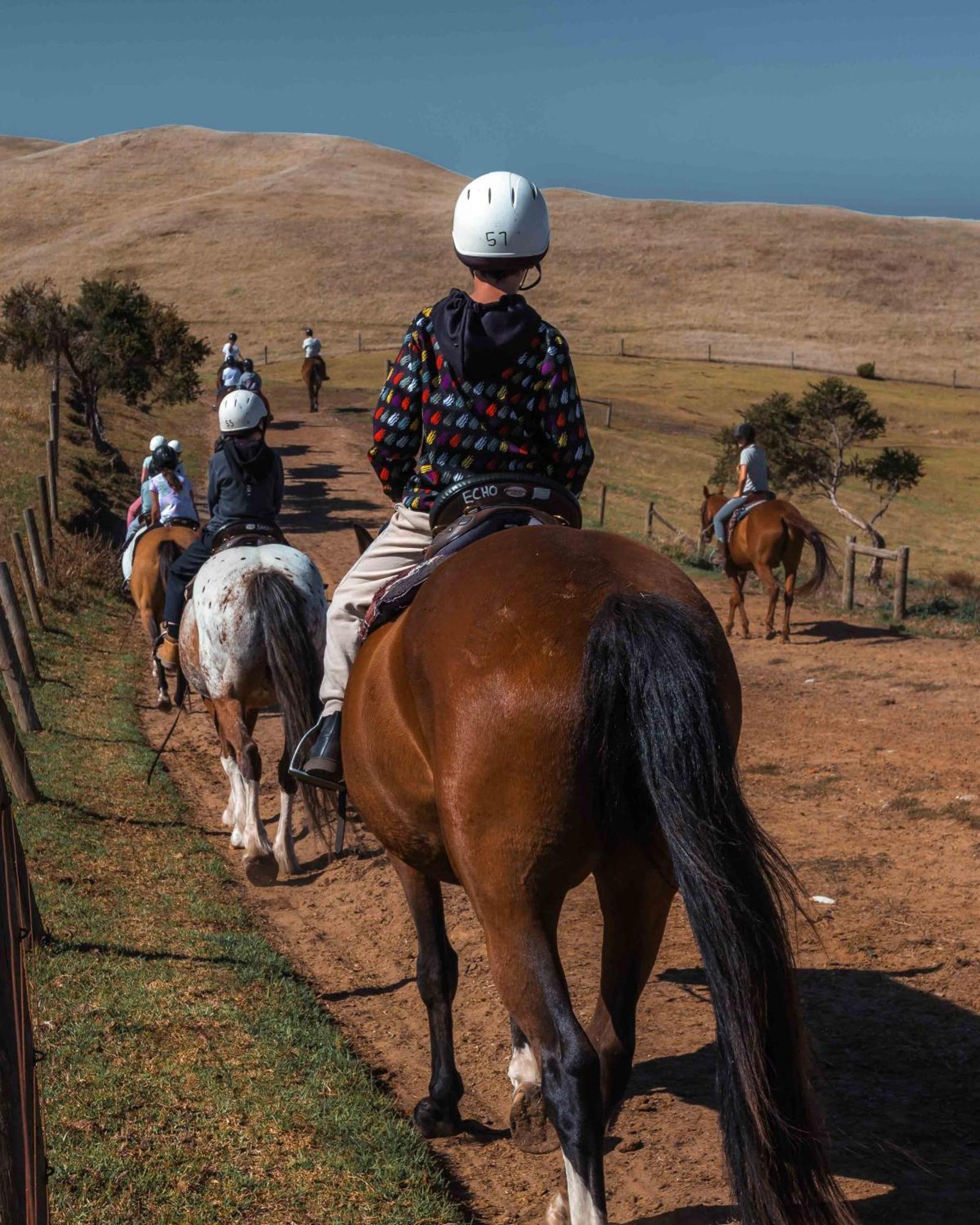 Вилла The Ranch Mornington Peninsula Boneo Экстерьер фото